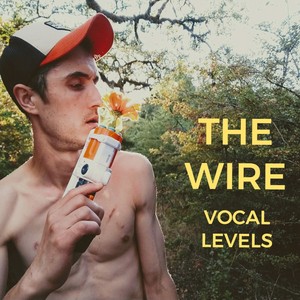 The Wire (Explicit)