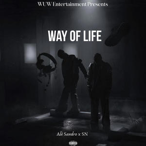 Way Of Life (feat. SN) [Explicit]