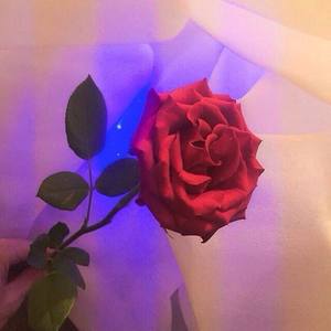 (☂) Kingz July Top40 2017