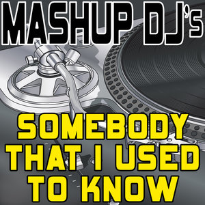 Somebody That I Used to Know (Remix Tools for Mash-Ups)