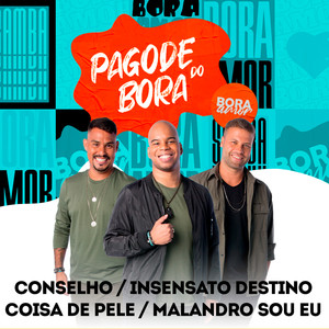 Conselho / Insensato Destino / Coisa de Pele / Malandro Sou Eu (Pagode do Bora 2, Ao Vivo)