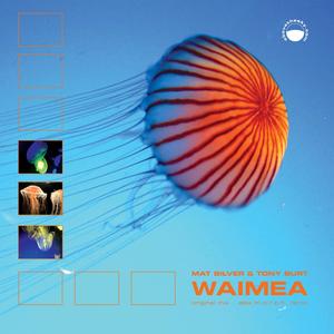 Waimea (Single Cut 2020 Remaster)