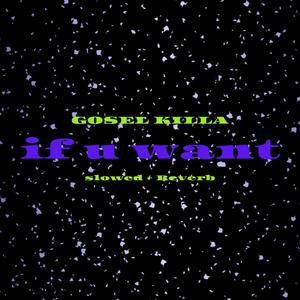 IF U WANT (Slow + Reverb) (Explicit)