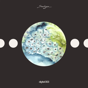 Microdense (YokoO & Retza Remix)