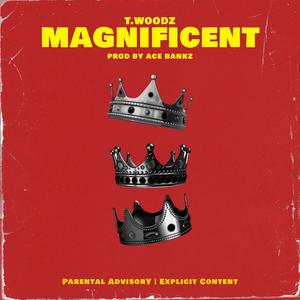 Magnificent (Explicit)