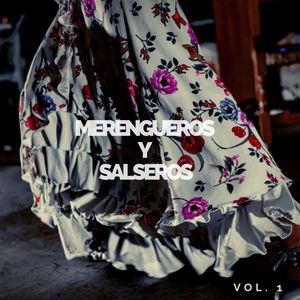 Merengueros Y Salseros Vol. 1