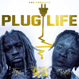 Plug Life (Explicit)