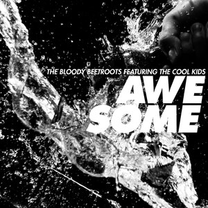 Awesome(feat. The Cool Kids)
