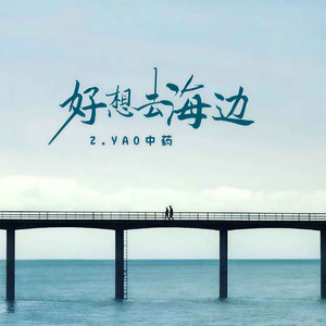 好想去海边 (伴奏)