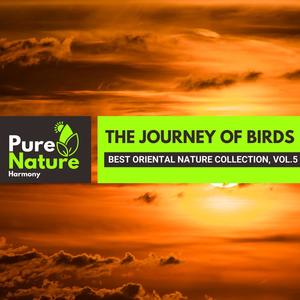 The Journey of Birds - Best Oriental Nature Collection, Vol.5