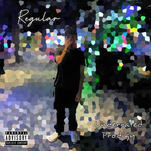 Regular (feat. WaveyyBeats) (Explicit)