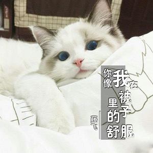 再喝一杯江小白