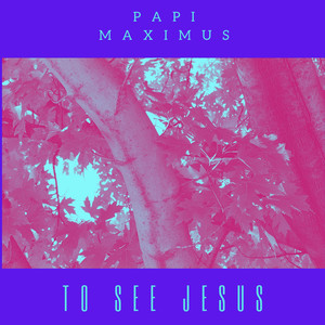 To See Jesus