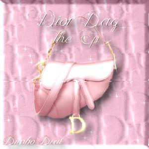 Dior Bag (Explicit)