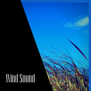 Wind Sound