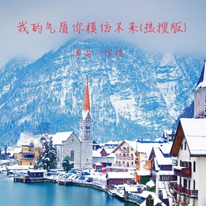 我的气质你模仿不来