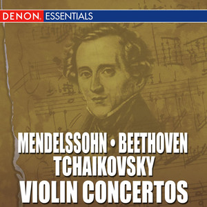 Violin Concerto in E Minor, Op. 64 - II. Andante
