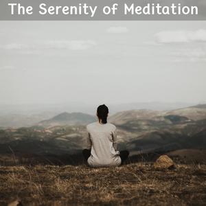 Peaceful Recovery Healing (Original Mix)