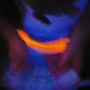 Goldene Platte(feat. Cesco) (Explicit)