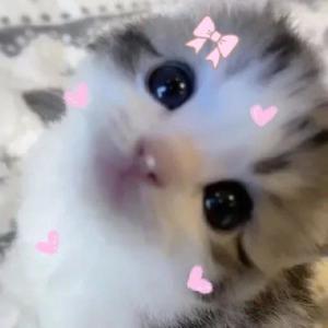 kawaii (Explicit)