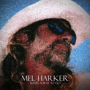 The Higher the Horse the Harder the Ground