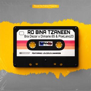 Ro Bina Tzaneen (feat. LoloZile, ManK058 & SevhentyTwo Records)