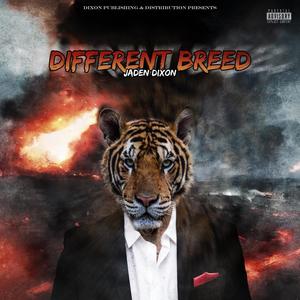 Different Breed