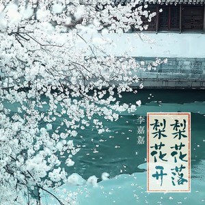 梨花开梨花落