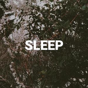 sleep (Explicit)