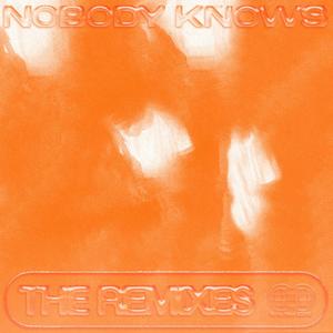 Nobody Knows (The Remixes) [Explicit]