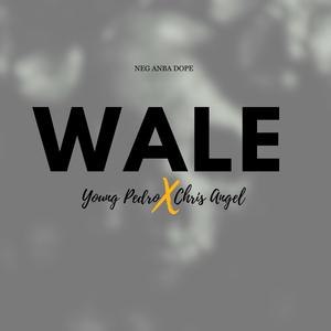 Wale (feat. Chris Angel) [Explicit]