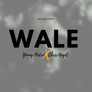 Wale (feat. Chris Angel) (Explicit)