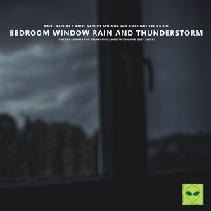 Bedroom Window Rain and Thunderstorm (Nature Sounds for Relaxation, Meditation and Deep Sleep)