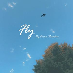 Fly