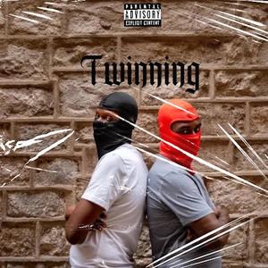 Twinning (Explicit)