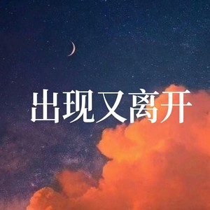 出现又离开（孙燕姿）