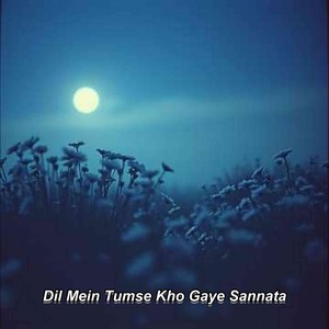 Dil Mein Tumse Kho Gaye Sannata