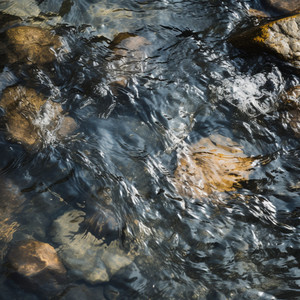 Armonía Que Fluye Por El Agua