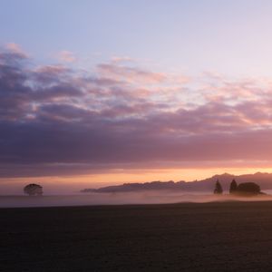 花田小憩 (放松箜篌)