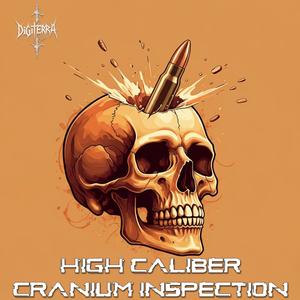 High Caliber Cranium Inspection