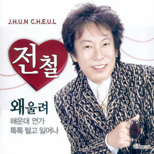 추억속의 그대 (回忆里的你)