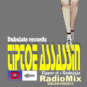 Tiptoe Assassin (Radiomix)