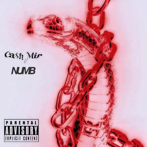 NUMB (Explicit)