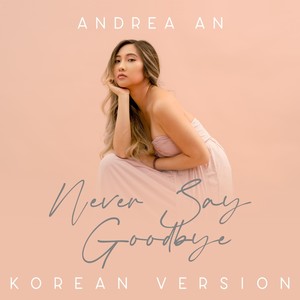 Never Say Goodbye (Korean Version)