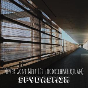 NEVER GONE MELT (feat. HOODRICHPABLOJUAN) (Explicit)