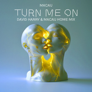 TURN ME ON (David Harry & Macau Home Mix)