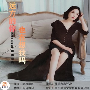 远方的你也在想我吗 (女声版)