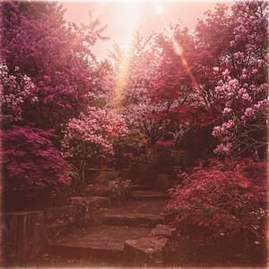 Are You Really Okay?