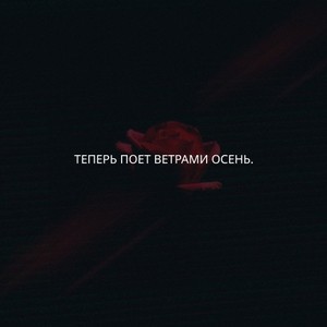 Теперь поет ветрами осень