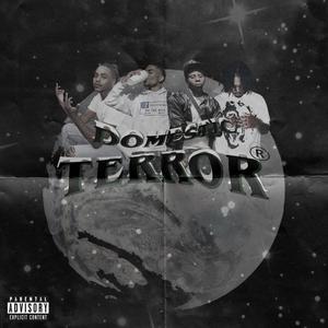 DOMESTIC TERROR (TERROR TAPES) [Explicit]